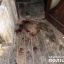 В Ясинях мужчина убил родственника