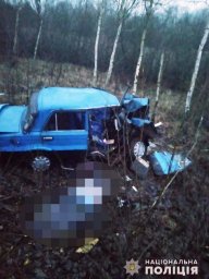 Смертельное ДТП в Житомирской области
