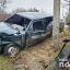 В ДТП в Виноградове пострадал мужчина