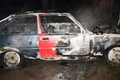 В Запорожье на ходу загорелся автомобиль