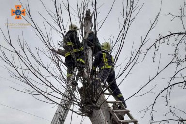 В Могилев-Подольском пожилой мужчина застрял на дереве