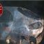 В Чернигове на трассе М01 сгорел автомобиль. Появилось видео