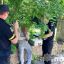 В Кривом Роге мужчина ограбил пожилую женщину