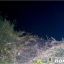 У водоймі села Бехтерщина Великобагачанської громади виявили тіло чоловіка