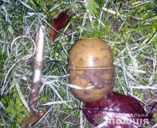 Полицейские Белозерки изъяли у мужчины гранату