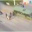 В Каменском у маршрутки отказали тормоза. Появилось видео