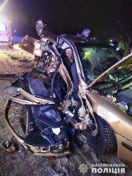В ДТП в Житомирской области погибли два человека