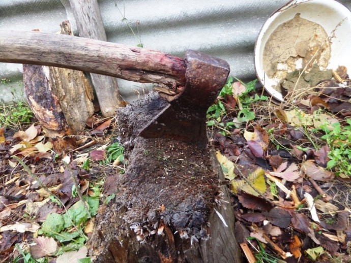 В Сумской области женщина убила мужа