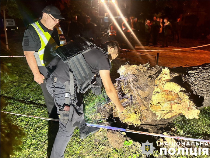 В Києві через падіння дерева в парку загинула людина. Відкрите кримінальне провадження