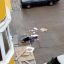 «Оживший труп» в Чернигове