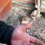 В Закарпатской области мужчина ограбил односельчанина