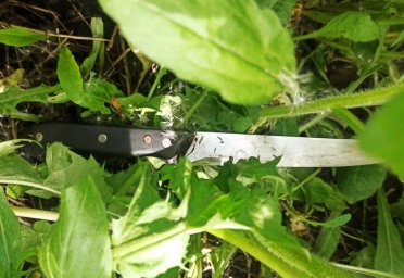 У Волинській області чоловік вбив свого молодшого брата