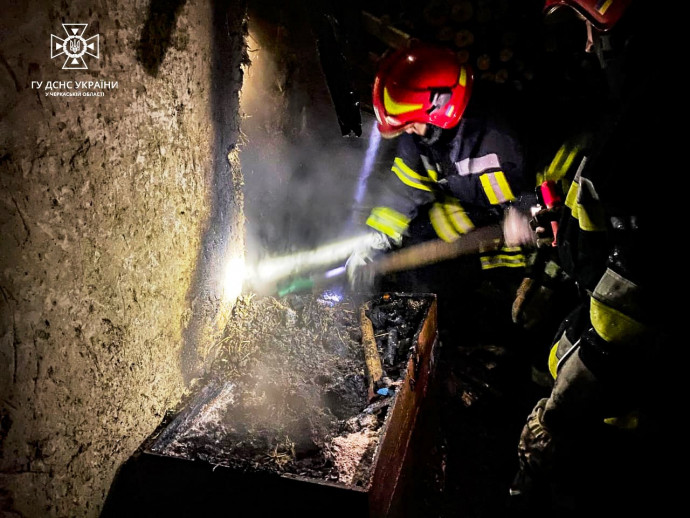 На пожаре в Черкасской области пострадал ребенок