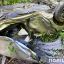 В ДТП во Львовской области пострадали три человека