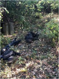 В Горловке дети подорвались на мине. Трое погибших. Появилось видео