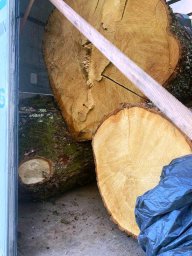 У Виноградові затримано вантажний автомобіль з нелегальною деревиною