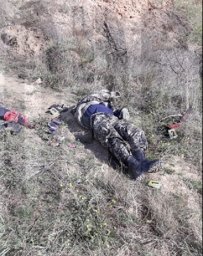 Под Одессой в селе Салганы обнаружено тело убитого мужчины Под Одессой в селе Салганы обнаружено тело убитого мужчины