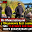 На Миколаївщині у Південному Бузі знайшли тіло 11-річного хлопчика, якого розшукували добу
