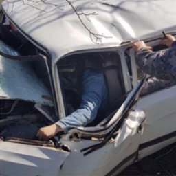 Под Одессой «Волга» врезалась в дерево. Погибли 2 человека