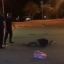 В Запорожье охрана супермаркета ногами избила покупателя