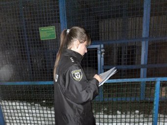 В Мене тигр загрыз работника зоопарка