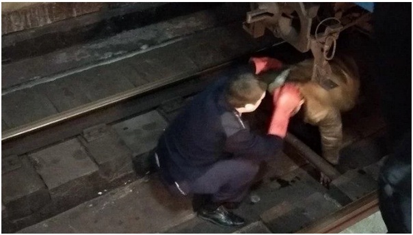 В Харькове мужчина пытался свести счеты с жизнью и упал на рельсы метро