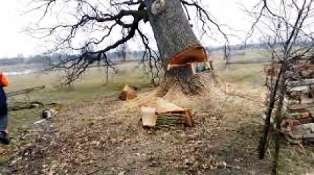 В Тернопільській області через нещасний випадок загинув чоловік