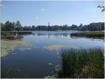 В Киеве водолазы достали тело утонувшего мужчины