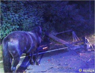 Поблизу н.п. Немовичі автівка наїхала на гужовий віз. Водій воза загинув