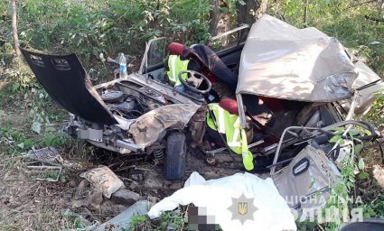 В ДТП в Житомирской области погибли два человека