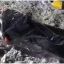 На трассе «Выступовичи-Житомир-Каменец-Подольский» произошло серьезное ДТП. Есть пострадавшие