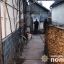 В Тячеве женщина убила знакомую