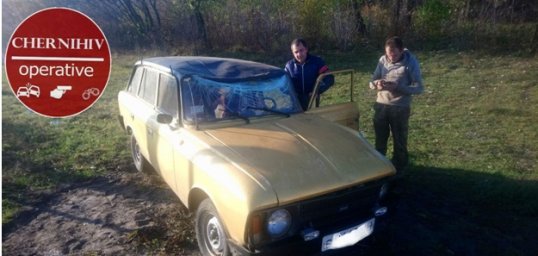 В Чернигове из-за собаки случилось ДТП с опрокидыванием