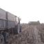 Правоохоронці припинили спробу збирання чужого врожаю у Броварському районі