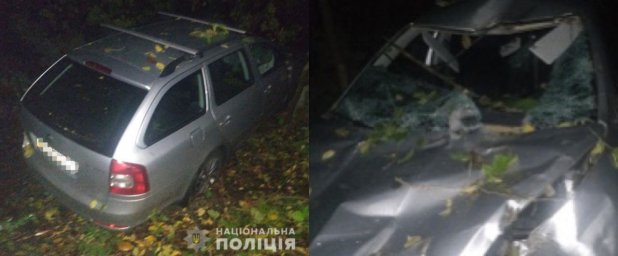 ​Под Винницей дерево убило водителя легковушки и отправило пассажира в больницу