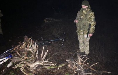 ​В Чернобыльской зоне задержали собирателей рогов