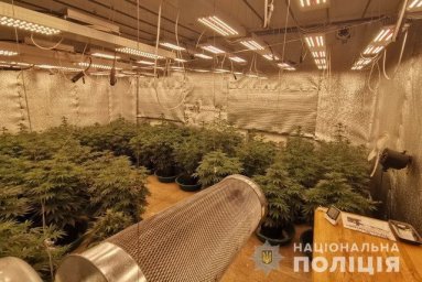 ​В Кривом Роге мужчина обустроил в своей квартире «наркоферму»