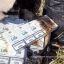 ​Пограничники сорвали контрабандистам заплыв в Польшу и доставку 7 тыс. пачек сигарет