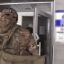 ​СБУ заблокировала схему захвата недвижимости в Киеве на $4 миллиона