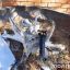 ​В Одессе во двор дома с дрона сбросили гранату