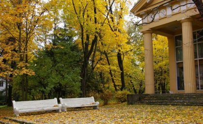 ​На ВДНХ нашли человеческую руку