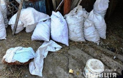 Женщина посадила на цепь с ошейником свою дочь