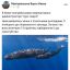 ​Администратора "групп смерти" поймали в Киеве