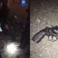​Полиция Киева задержала мотоциклиста, который открыл стрельбу по прохожим на улице Казимира Малевич
