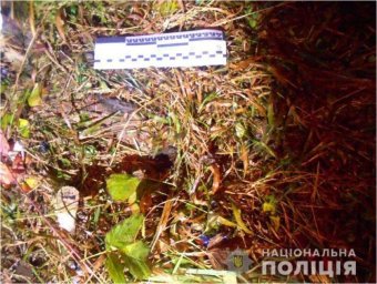 ​В Ровно и Львове девушки погибли пытаясь сделать селфи