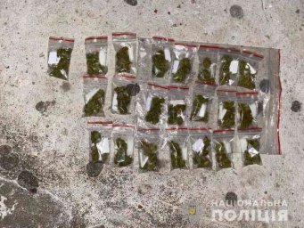 ​В Днепре гражданин Федеративной Республики Нигерия хранил 22 слип-пакета с каннабисом