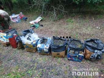 ​С зоны ЧАЭС пытались вывезти более 300 кг радиационных грибов