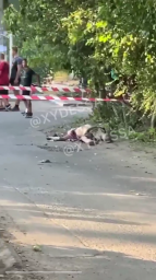 В Одессе произошло двойное убийство