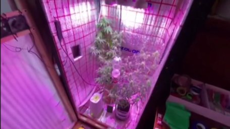 ​Бизнес предприимчивого киевлянина закончился знакомством с Нацполицией