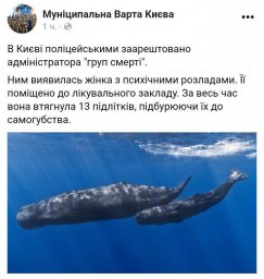 ​Администратора "групп смерти" поймали в Киеве